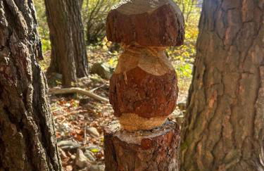 Studio Evasion Ardéchoise - Photo 21