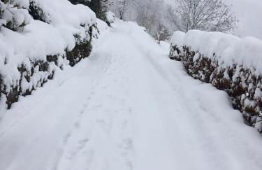 Altes Berghaus - Foto 14