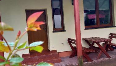 Drzewosfera - Foto 3