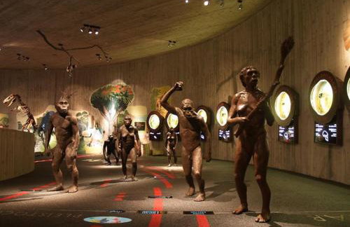 Villa Arboreta - Foto 37