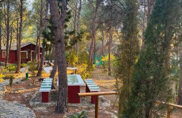 Casas Rurales La Navela - Foto 13