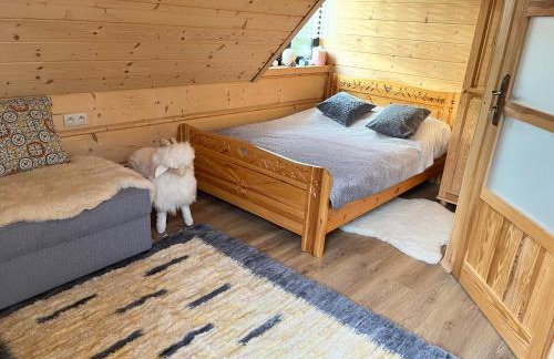 Mazury "Willa Ślimakowo" w Pasymiu - jacuzzi, sauna, pomost, łódka, rower wodny - Photo 20