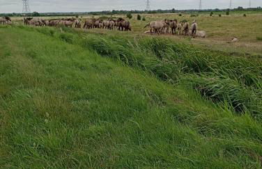 Bellevue cottage - Photo 21