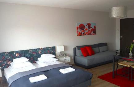 Willa Widokówka Lubawka - Foto 23