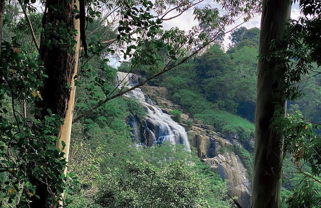 Ella Retreat Hotel - Photo 76