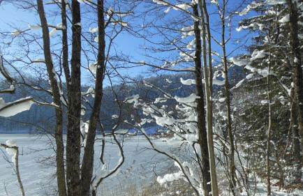 FW Weissensee 44 - Foto 55