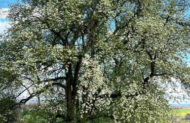 Marbachtäle - Foto 65