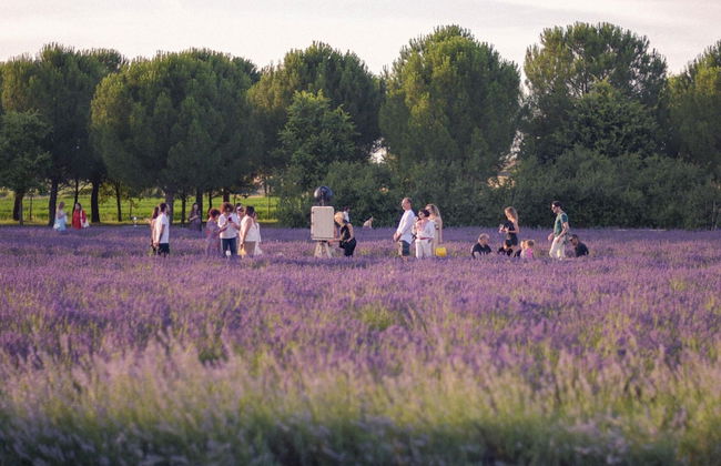 Belvilla by OYO Cotogno - Foto 24