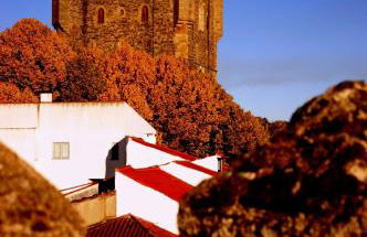 Ninho do Melro - Turismo Rural Bragança - Foto 51