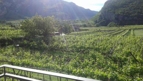 La Masera Holiday - Vigneto - Foto 4