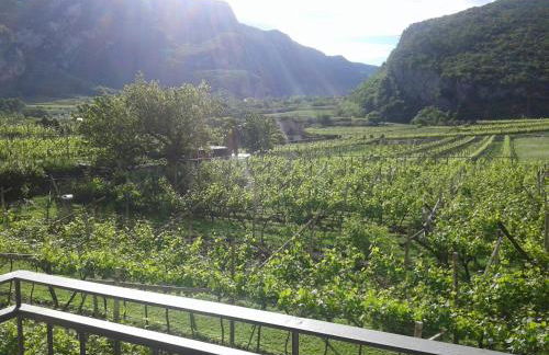 La Masera Holiday - Oliveto - Photo 1