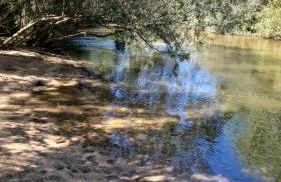 Donde JAVI Chalet con piscina 50 minutos madrid en escalona - Foto 60