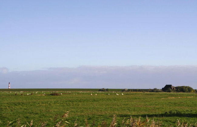 Ferienwohnung, Garding - Foto 15