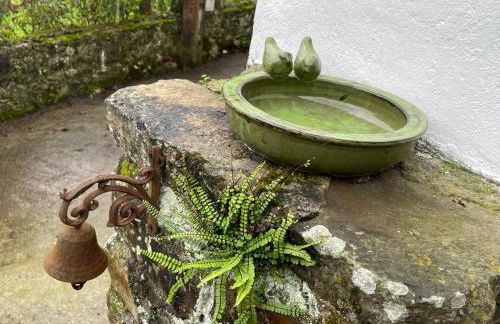 Los Paxarinos - Foto 15