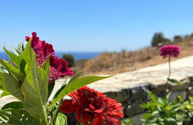 Thea Vouno Studios - Foto 21