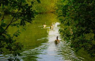 The Dairy at Lodge Farm - Photo 23