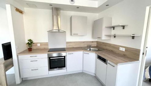 STRASBOURG CENTRE HISTORIQUE Accès direct en Tram et Aéroport - Foto 4