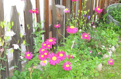 Chalet Tobià Apartments - Foto 34