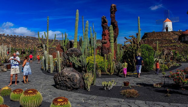 Lanzarote Tour : Lagomar Museum, Kakteengarten & La Graciosa - Foto 2