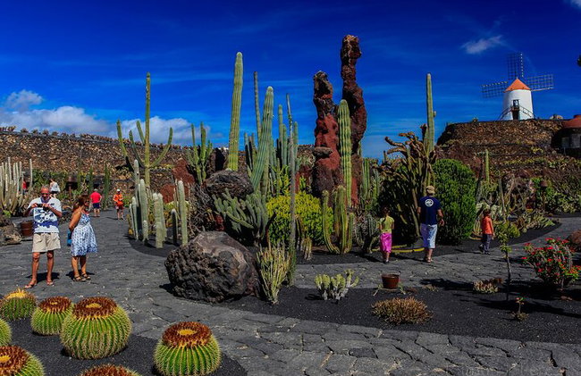Lanzarote Tour : Lagomar Museum, Kakteengarten & La Graciosa - Foto 2