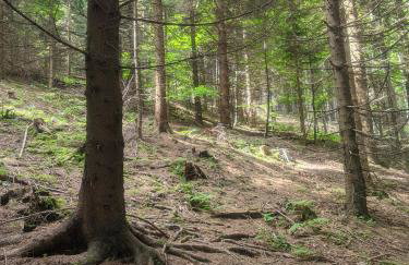 Zacisze na Wzgórzu - Foto 32