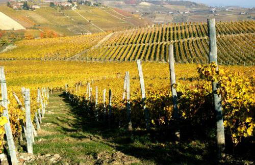 Cascina Arcangelo Raffaele - Foto 63