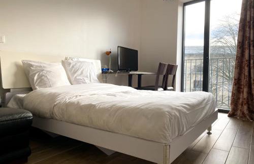 Chambres Pasteur - Foto 15