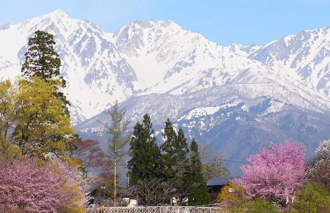 GUESTHOUSE engiya - Foto 18