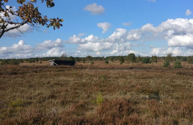 Ahlers Holiday Apartment - Foto 11