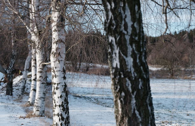 Chalupa na Fryšavě - Foto 14