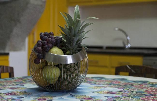 Casa das Origens - Foto 45