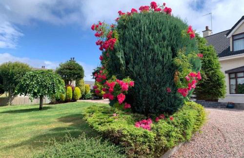 Sleepy Hollow Apartment - Foto 12