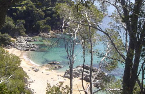 Apartment Sa Boadella beach, Lloret de Mar - Costa Brava - Foto 80