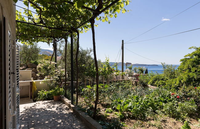 Apartments Olive - Foto 15