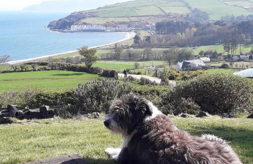 Beachview Cottage Co. Antrim - Foto 18