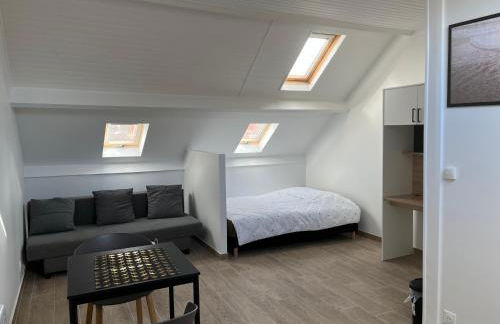 Appartements proches CDG Le Bourget dans maison francilienne typique - Foto 5