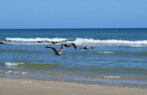 Barefoot Bungalow - Pet Friendly- 2 Bdrm Townhome - Foto 21