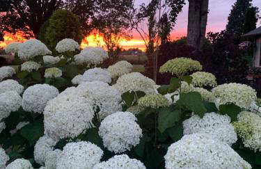 Haus Am Damm - Foto 13