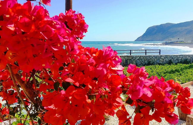 SEAesta Beach Studios - Photo 19