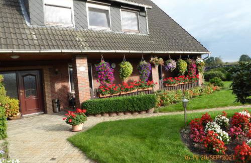 Schmidtfewo Moorgeist - Foto 2