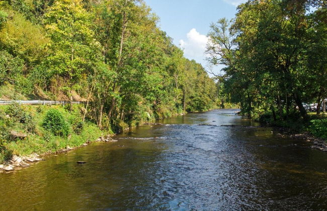 Castle Apartment in Aywaille Near River Ambleve - Photo 36