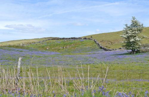 Bluebell Lodge - Foto 19