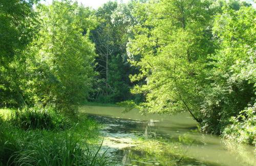 La Maison des Renaudières - Foto 14