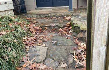 Paw Paw Tree Estate - Foto 6