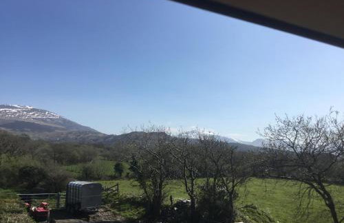 Tyddyn Perthi Farm - Foto 7