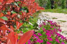 Sundial Houses - Pool & Garden - Foto 59