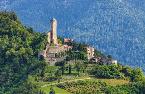 Soggiorno Bellin - Foto 41