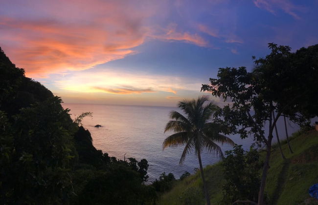 Castara Inn - Photo 63