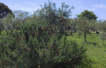 Holiday home Mola - Foto 32