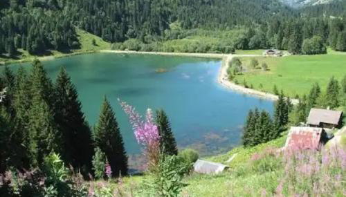 Appartement chalet - Le Vnipi - Foto 3